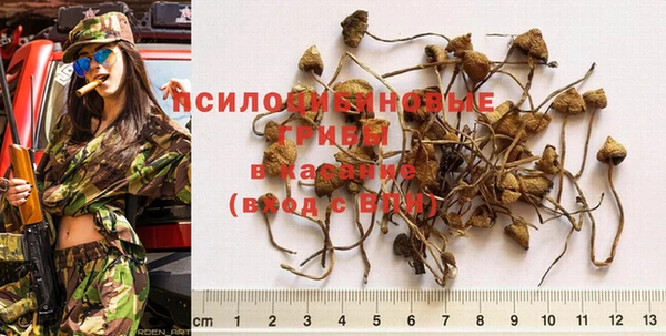 ешки Белоозёрский
