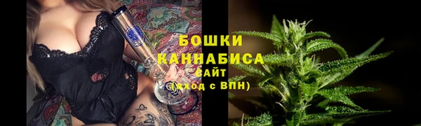 гашик Богородск