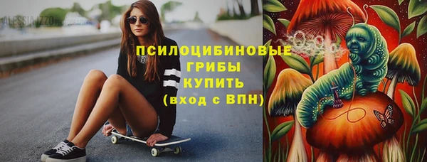 первитин Богородицк