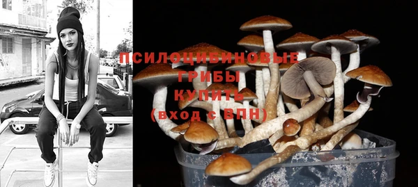 синтетический гашиш Белокуриха