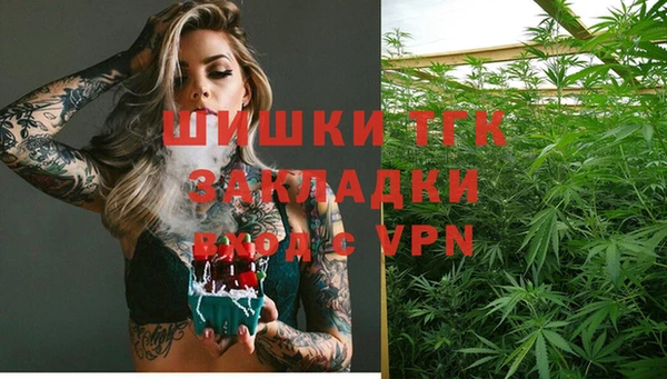 гашик Богородск